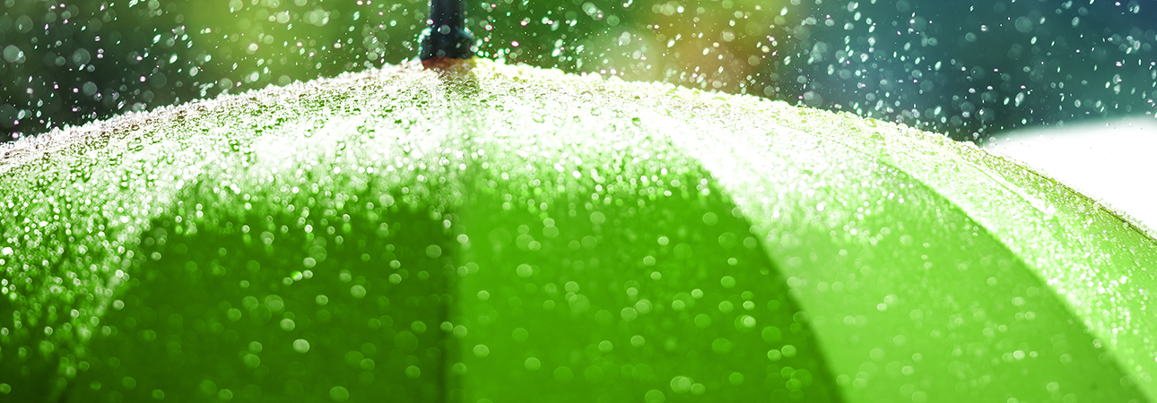 Umbrella in the rain