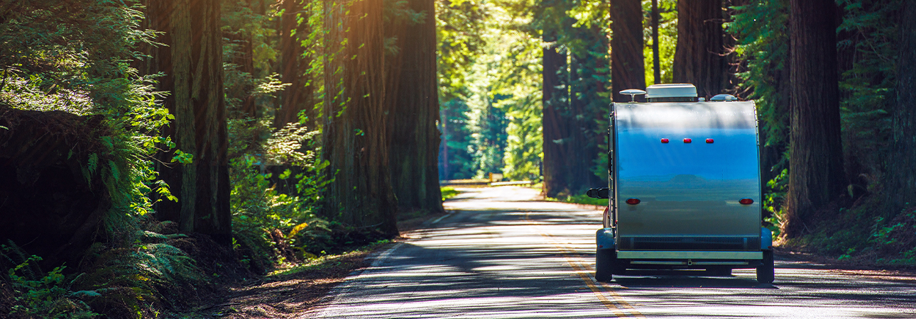 RV on road in forest